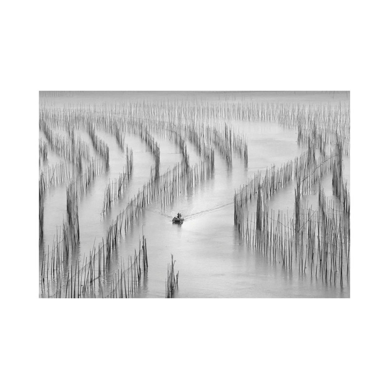 Going Back by Angela Muliani Hartojo - Wrapped Canvas Print