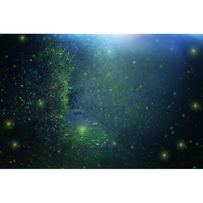 Englevale Firefly Flying In The Night Forest - Wrapped Canvas Print, 20cm H x 30cm W x 3.8cm D