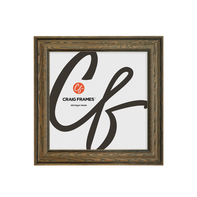 Cadre photo Craig Frames 8x9 pouces, brun clair, style Potomac, moulure en bois de 2,5 pouces, finition teintée, vitre et système d'accrochage inclus.