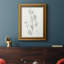Toile encadrée de qualité supérieure Botanical Study In Sage-1988625661