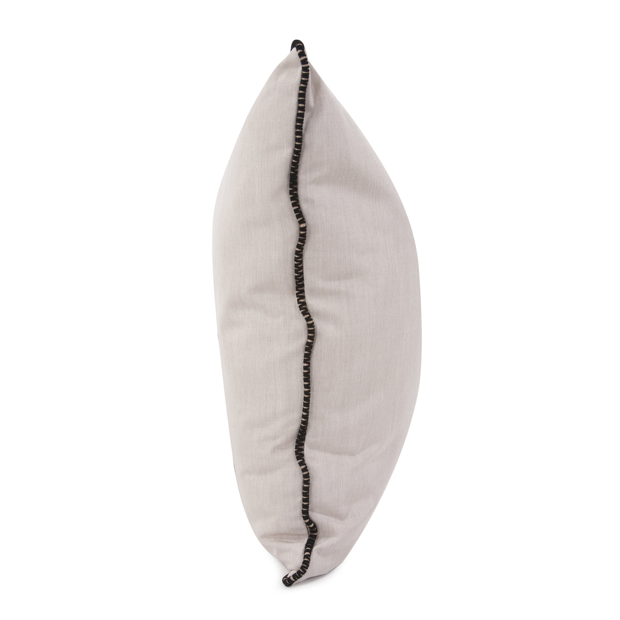 Delijah Sunbrella® Indoor/Outdoor Throw Pillow, 24" x 24", Seascape Sand