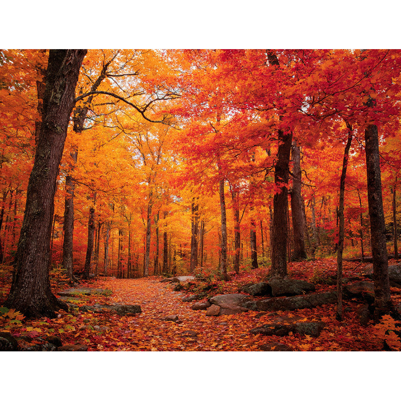Autumn Bridgeway Vista Wrapped Canvas Wall Art, 36" H x 48" W