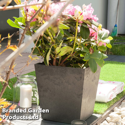 Marview Plant Pot 70cm (x2)