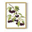 Watercolor Cherries, reproduction encadrée - bois massif-93066167-93066162