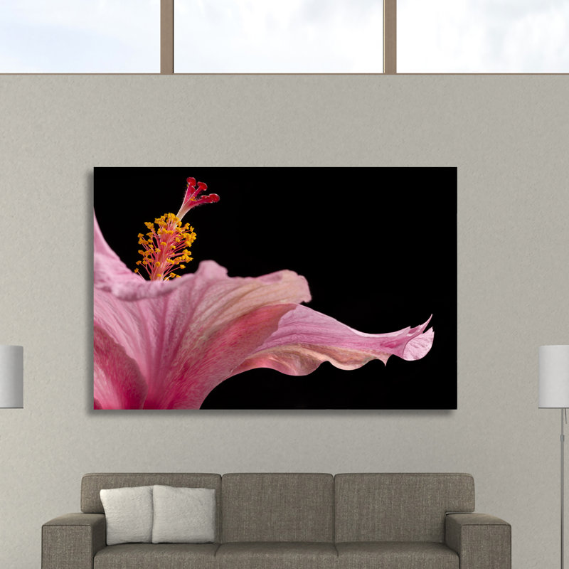 Hibisucs 1 by Barry Seidman - Wrapped Canvas Print, 51cm H x 76cm W x 4cm D