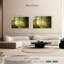 Alvord Forest Road - soleil-107718327