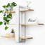 58cm H x 50cm W Standard Bookcase