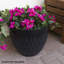 Shiye Pot Planter-66653519