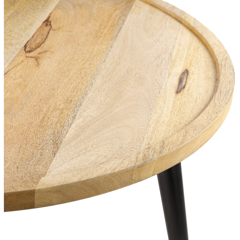 Avianah Modern Coffee Table, Natural