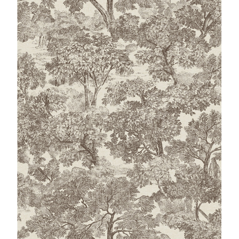 Birch Lane 33' L x 20.5" W Toile Non-Pasted Wallpaper Roll, Brown