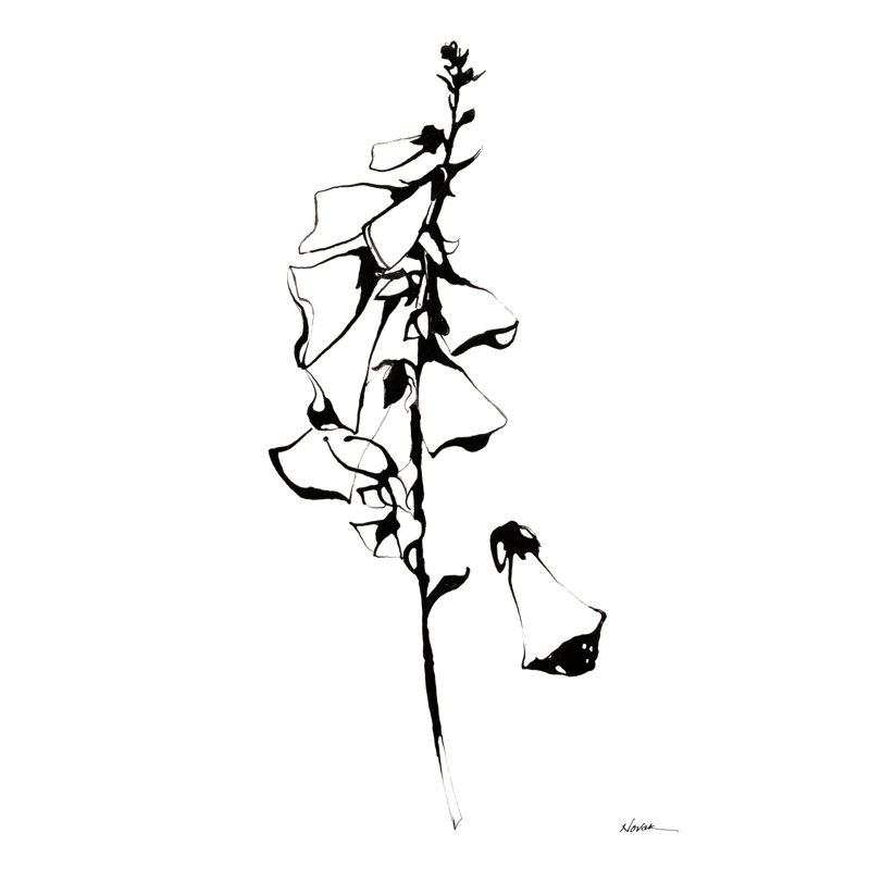 Encre Foxglove par Shirley Novak, H 48 po x l 32 po