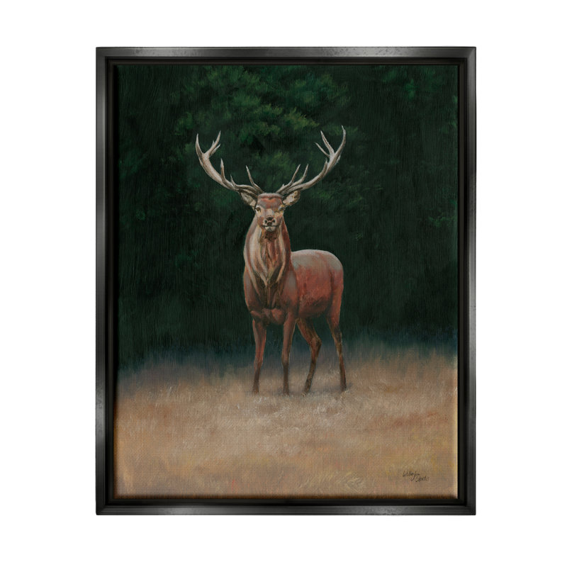 «Stupell Industries Deer in Forest Clearing», art mural sur toile par Wellington Studio, H 21 po x l 17 po x P 1,7 po