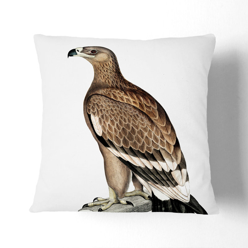 Square Cushion, 55cm H x 55cm W x 20cm D, Black