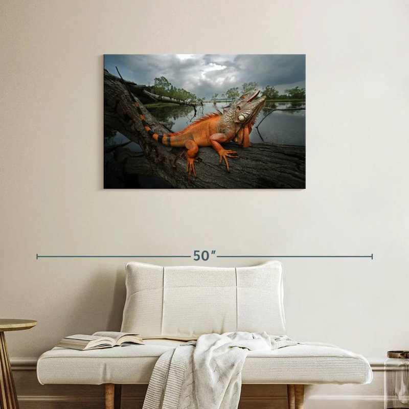 Iguane ronce orange
