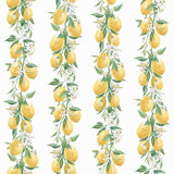 Just Kitchens Lemon Trail Stripe 33' L x 21" W Wallpaper Roll