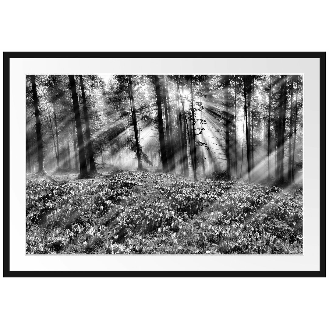 Gerahmtes Poster Lavendel im Wald