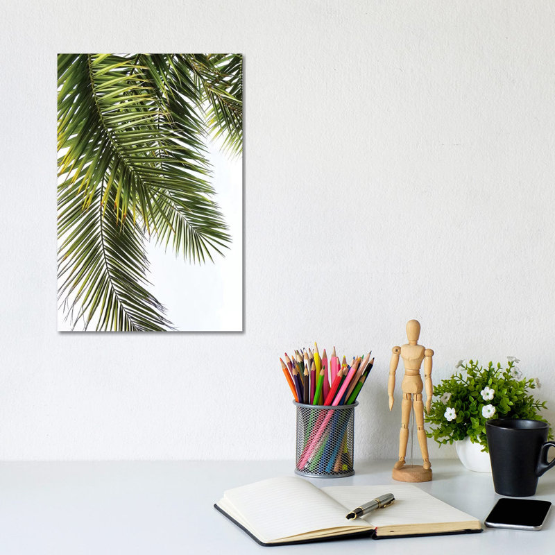 Palm Leaves by Lexie Greer - Print on Canvas, Wrapped Canvas, 30.48 cm H x 45.72 cm W