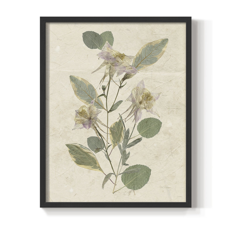 Pressed Arrangement III, reproduction encadrée - bois massif, H 11 po x l 9 po, Noir, noir, noir, noir