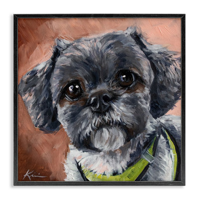 " Black Shih Tzu Dog Portrait " by Lindsay Kivi Fine Art