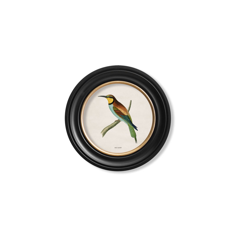 Bee Eater by Mid-1800s - Single Picture Frame Print on Archival Matt 230gsm Paper