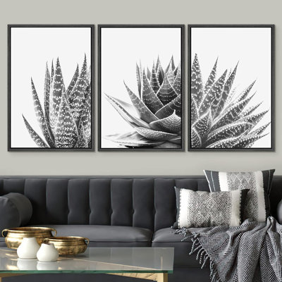 Minimal Botanical " IDEA4WALL Framed Wall Art Print Set Trio Of Zebra Succulents Floral Plants Photography Modern Art Minimalist Closeup Dramatic Black And White For Living Room, Bedroom, Office " 3 - Pieces