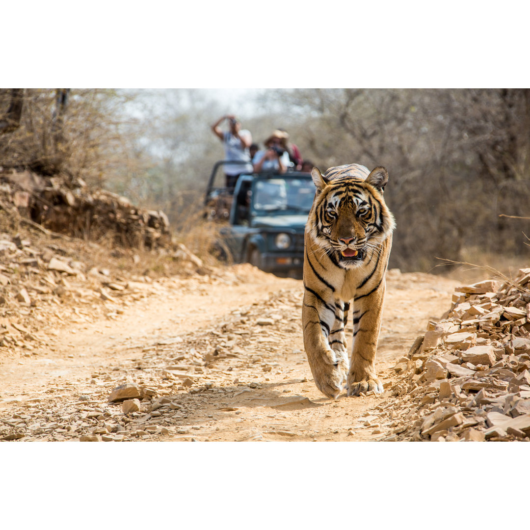 Bengalischer Tiger auf der Straße von SeppFriedhuber - Druck auf Leinwand ohne Rahmen