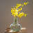Silk Orchid Arrangement