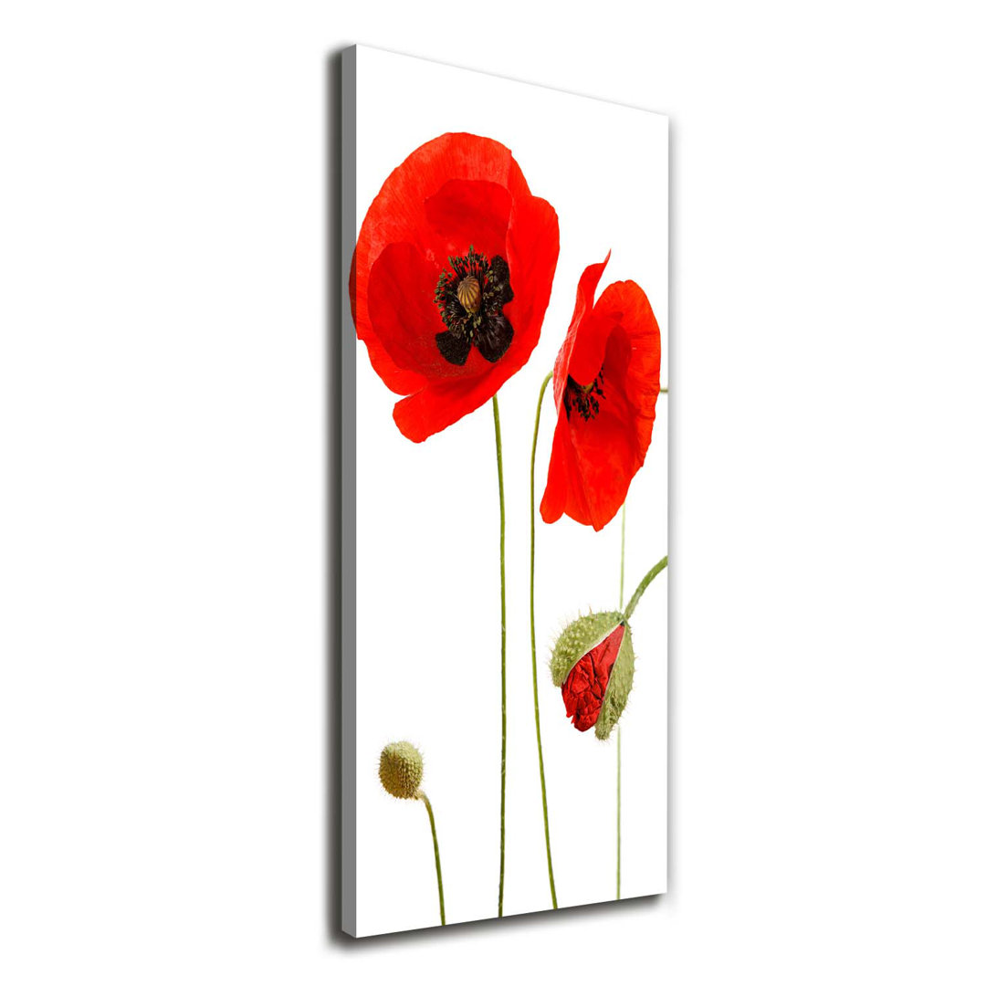 Feldmohn - Kunstdrucke auf Segeltuch