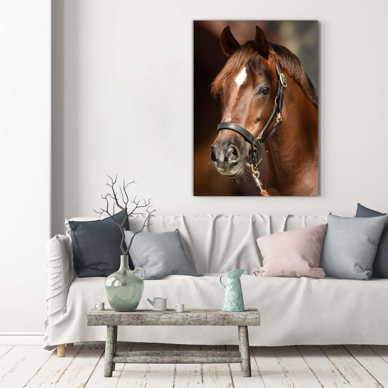 Portrait Of A Horse - Wrapped Canvas Print