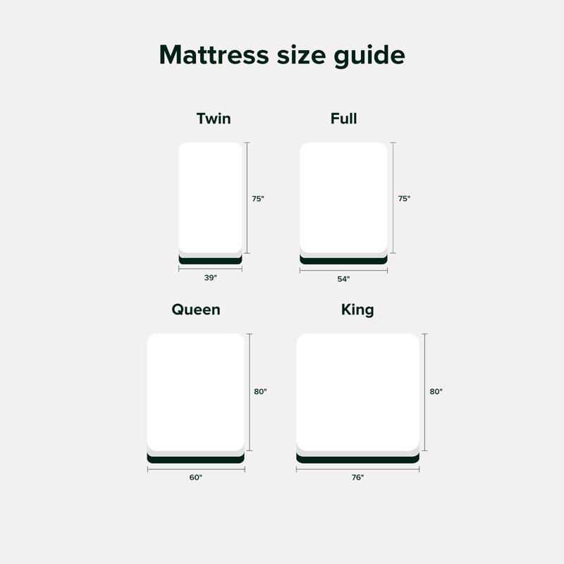 8" Plush Cooling Gel Memory Foam Mattress - Sleep by Wayfair™, Twin XL, 8"