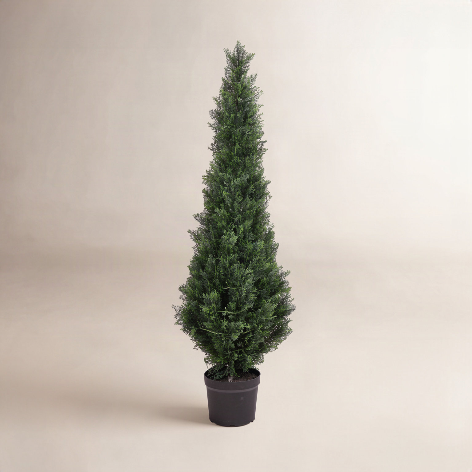 Yarbro Cedar Topiary in Pot, 60" H x 13" W x 13" D