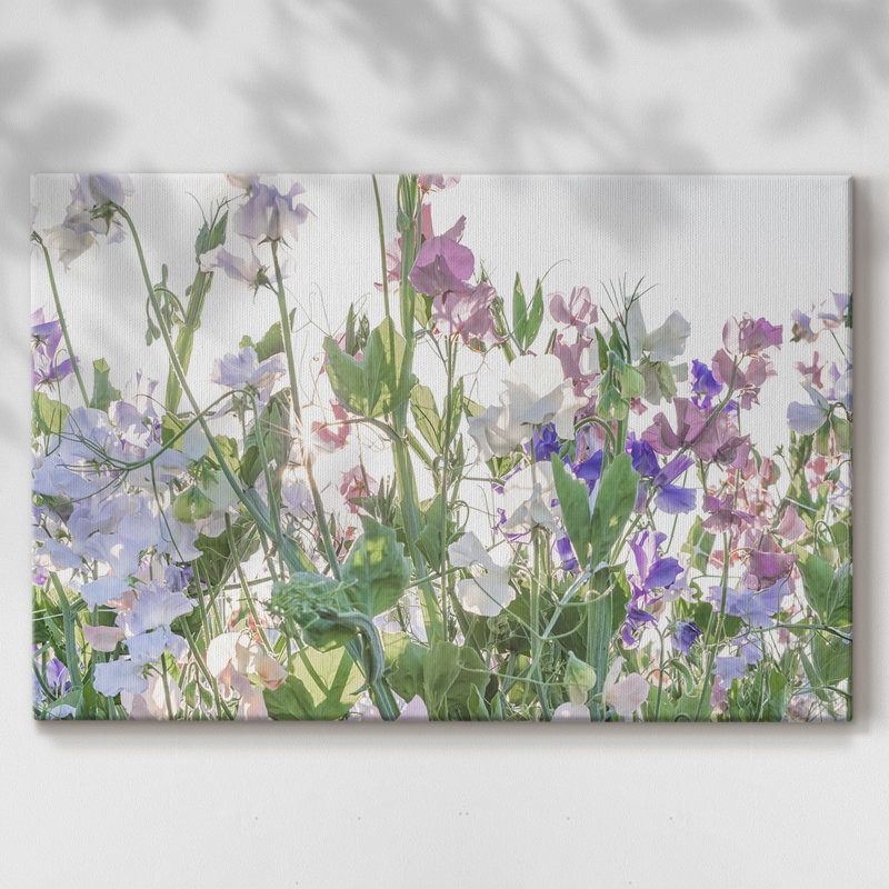 Fields of Spring - Gallery Emballé Cavas, 32 x 48