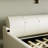 Upholstered Daybed with Trundle Bed-516176480