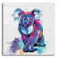 Art mural en verre Millwood Pines «Rainbow Koala» par Dawg Painter-1424828300