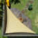 Amgo Customize Right Triangle Shade Sail - 200 GSM, 95% UV Blockage