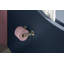 Reveal Quiet-Close with Grip-Tight Toilet Seat-1353280910-1353473585