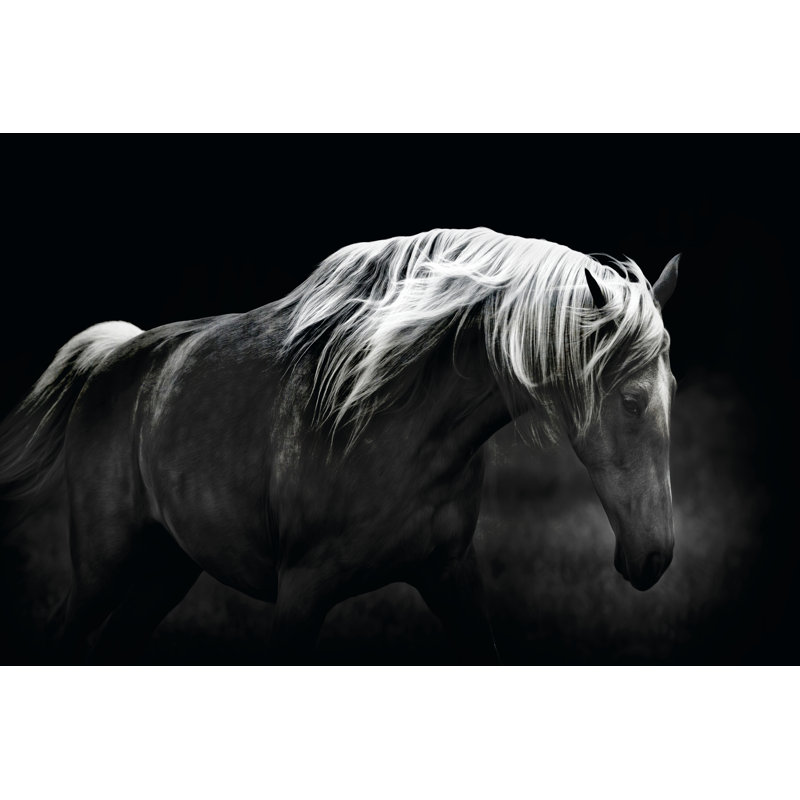 No Frame Print on Canvas, 30cm H x 46cm W x 3.8cm D