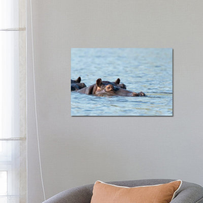 Africa, Botswana, Chobe National Park Hippopotamus'S Head Above Water'S Surface by Jaynes Gallery - Wrapped Canvas Print