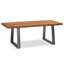 Grasonville Sled Coffee Table