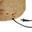 Daxton Table Lamp-247790800