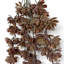 70cm Faux Plant