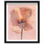 Amber Radiance I Shadowbox Floral & Botanical Print by Oliver Gal, Black Frame, 16 x 20-45040222-45040225