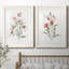 Lin botanique corail III - ensemble de 2 reproductions d'art-11592754-11592748-11592746