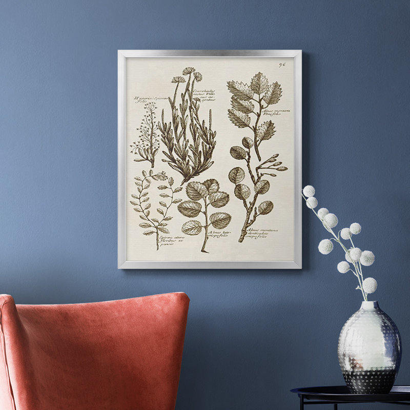 Toile encadrée de qualité supérieure sépia Botanical Journal, Argent, H 24 po x l 20 po