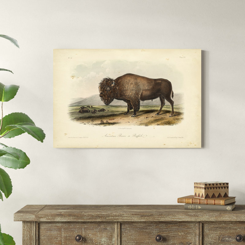 Bison d'Amérique, H 24 po x l 36 po x P 1,25 po