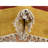 Ludovico One-of-a-Kind Area Rug