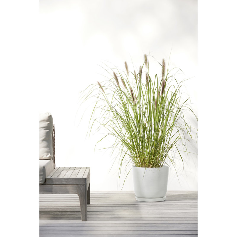 Ecopots Oslo Indoor/Outdoor Modern Recycled Plastic Flower Pot Planter, 8.5" H x 10" W x 10" D, Pure White