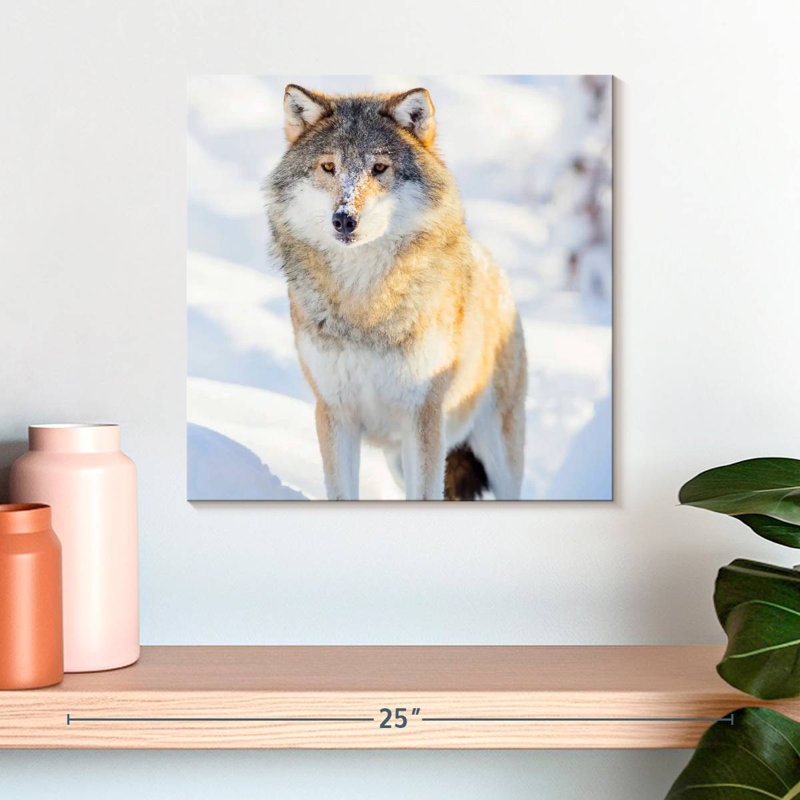 Brampt Winter Gray Wolf, 16" H x 16" W
