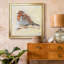 Oiseau variété I - reproduction de cadre photo sur toile-1464860880-1464860894