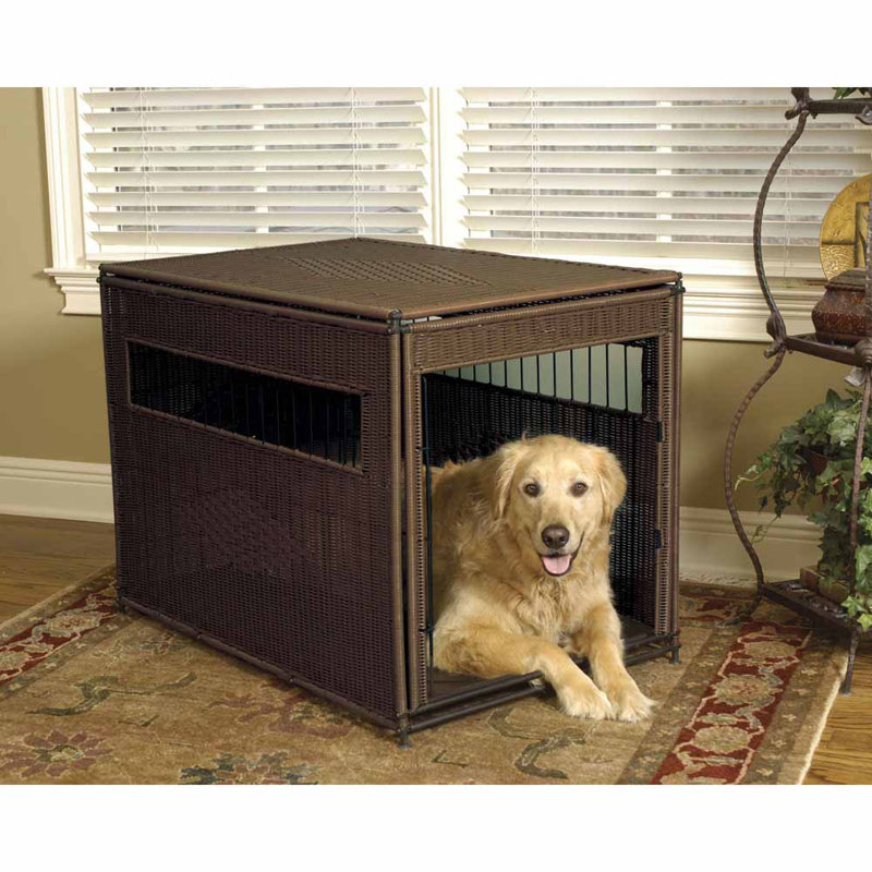Caisse pour animaux Solvit, Grand (H 27 po x l 24 po x P 36 po)